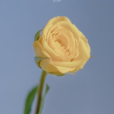 赤月连击手游下载