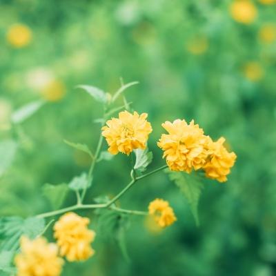 青云剑仙内购破解版下载